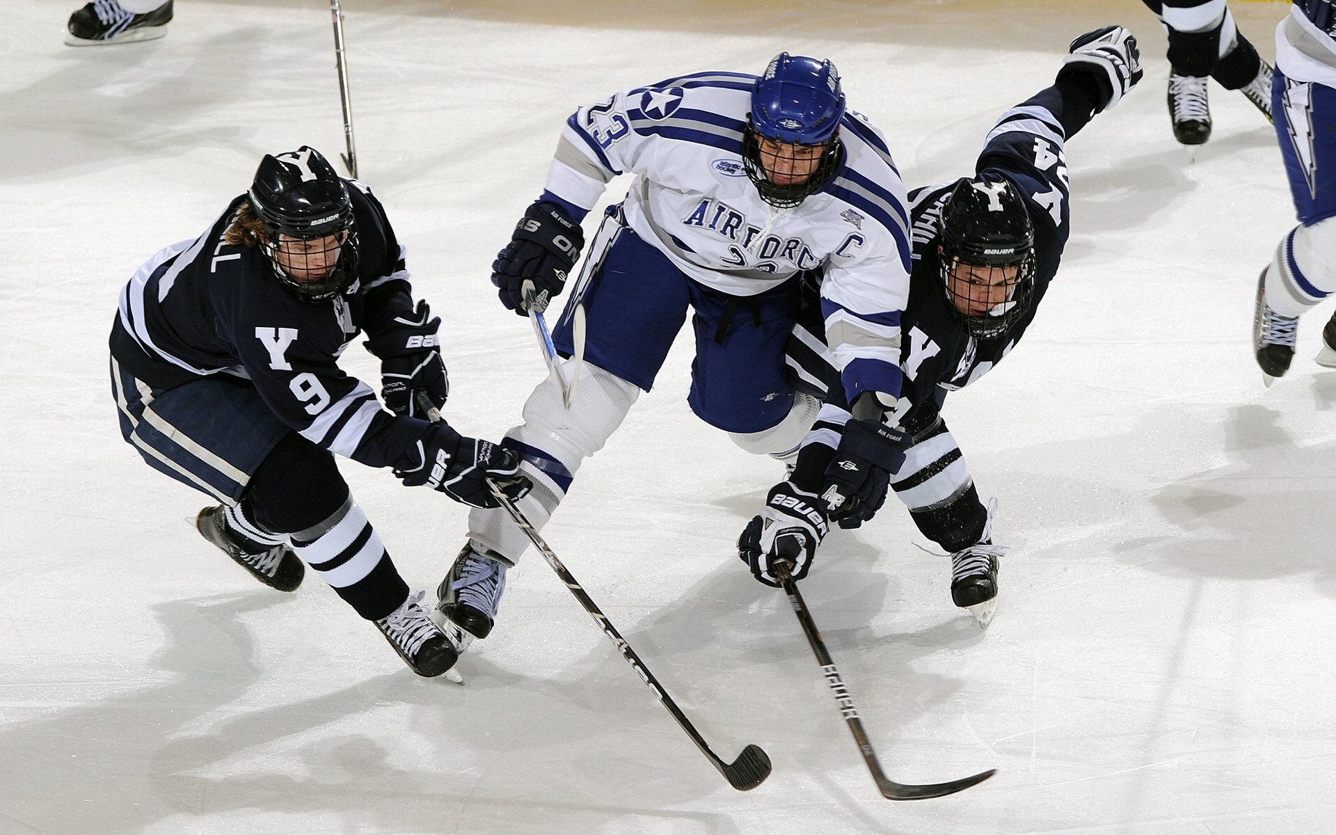 “阿根廷美洲狮队在冠军锦标赛中的不败神话”