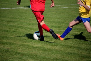 中国足球俱乐部与国际知名足球学院合作，中国足球俱乐部和国家队