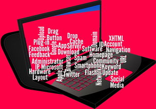 开云网页版登录入口-CBA开展球员社交媒体管理课程提高职业素养，运动员社交媒体